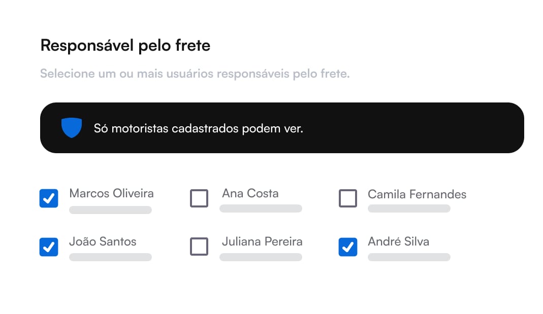 Segurança de acesso na plataforma de gestão de fretes